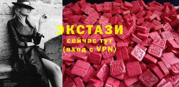 стаф Пересвет