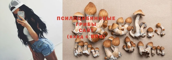 дживик Беломорск