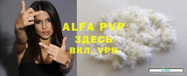 СК Белокуриха
