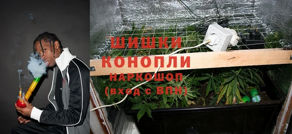 дживик Беломорск