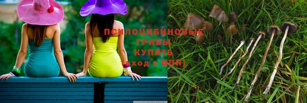 дживик Беломорск