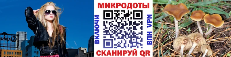 Галлюциногенные грибы GOLDEN TEACHER  купить  сайты  Пыть-Ях 